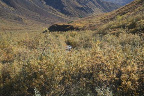 1990 Chevrolet Suburban - A scenic view of a mountain valley during autumn, with a stream flowing through dense, colorful brush.