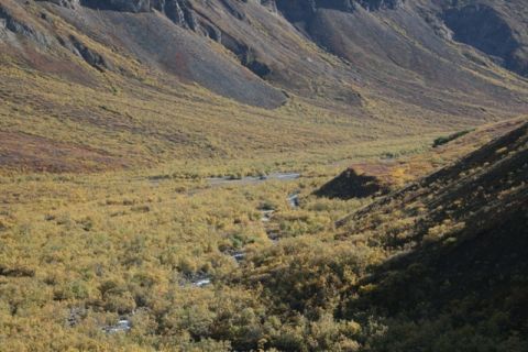 1990 Chevrolet Suburban - A scenic mountain valley is depicted with a winding stream and trees displaying autumn colors.