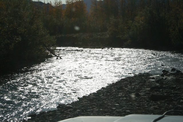 Sunlight glints off a rocky river flowing through trees