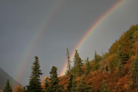 1990 Chevrolet Suburban - A double rainbow appears in the sky above a wooded hillside with trees showing fall colors.