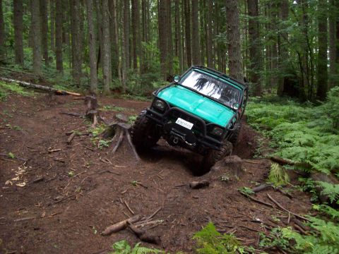 1985 Toyota Pickup/SR5 - This modified off-road truck tackles a challenging dirt path surrounded by tall trees and lush ferns.