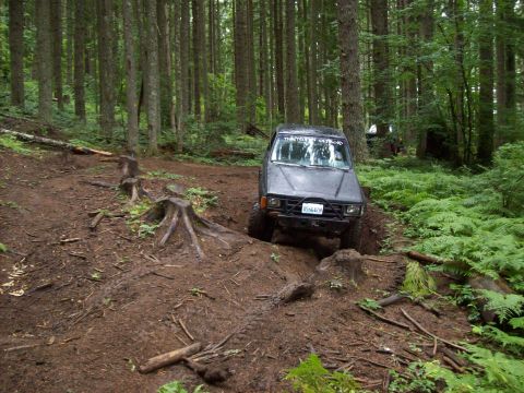 1985 Toyota Pickup/SR5 - This 1985 Toyota Pickup/SR5 is shown off-roading through a dense forest with challenging terrain.