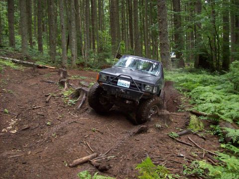 1985 Toyota Pickup/SR5 - A modified truck tackles a challenging, muddy path through a dense forest with ferns and fallen logs.
