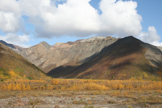 Mountain landscape with golden autumn trees under a cloudy sky