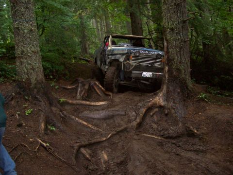 1985 Toyota Pickup/SR5 - This modified truck navigates a challenging, root-covered path in a dense forest.