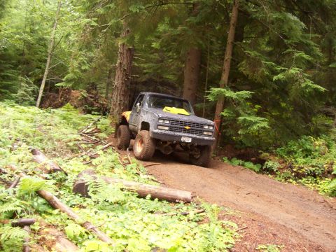 1985 Toyota Pickup/SR5 - A modified Chevrolet pickup truck navigates a wooded trail with significant ground clearance.