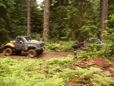 1985 Toyota Pickup/SR5 - Two trucks navigate a dirt path through a lush, green forest with tall trees.