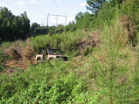 1967 Ford Mustang - This early Ford Bronco navigates a steep, overgrown hillside.