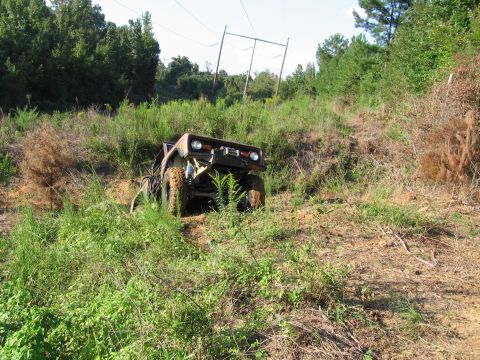 1967 Ford Mustang - An off-road vehicle is stuck in thick vegetation on a hillside, with power lines visible in the background.