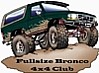 1995 Ford Bronco - AV Pic