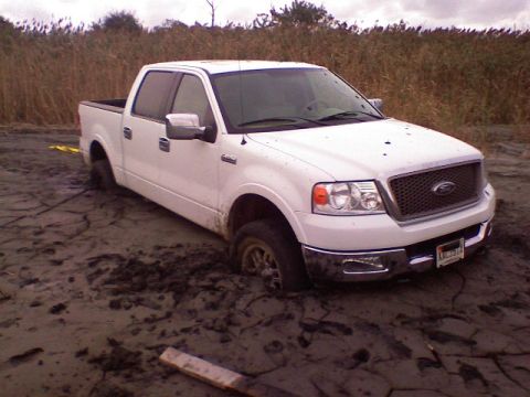 1998 Dodge 1500 - A white Ford F-150 pickup truck is stuck in thick mud, with reeds in the background.