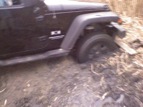 1998 Dodge 1500 - A black Jeep Wrangler is partially submerged in mud and reeds, with its front wheel deep in the mire.