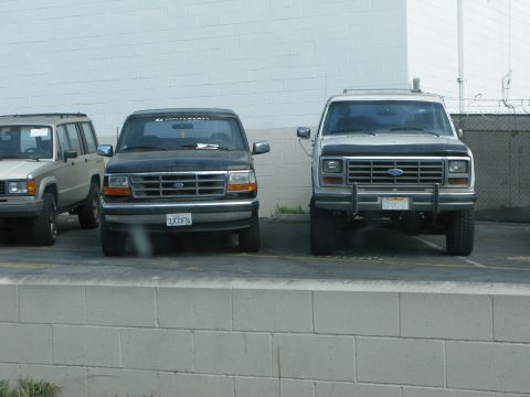 1989 Ford Bronco - Two Ford Broncos are parked side-by-side in front of a white brick wall.