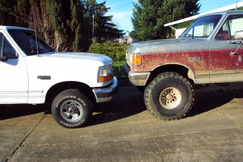 1996 Ford Bronco - Quite a contrast.(2/25/2002)