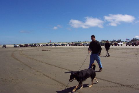 1996 Ford Bronco - Group of at least 31 vehicles at the Long Beach, WA Clean-Up sponsored by 2 Big Broncos 4x4 Club - Northwest Chapter. (5/11/2002)