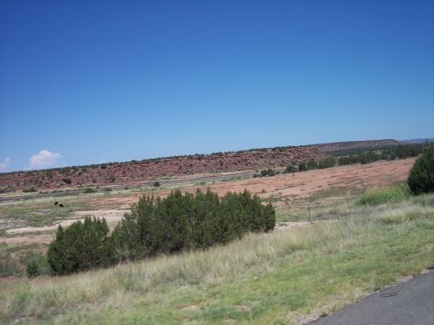 1960 Ford Falcon - Wide view of a desert landscape with mesas and sparse vegetation under a clear blue sky.
