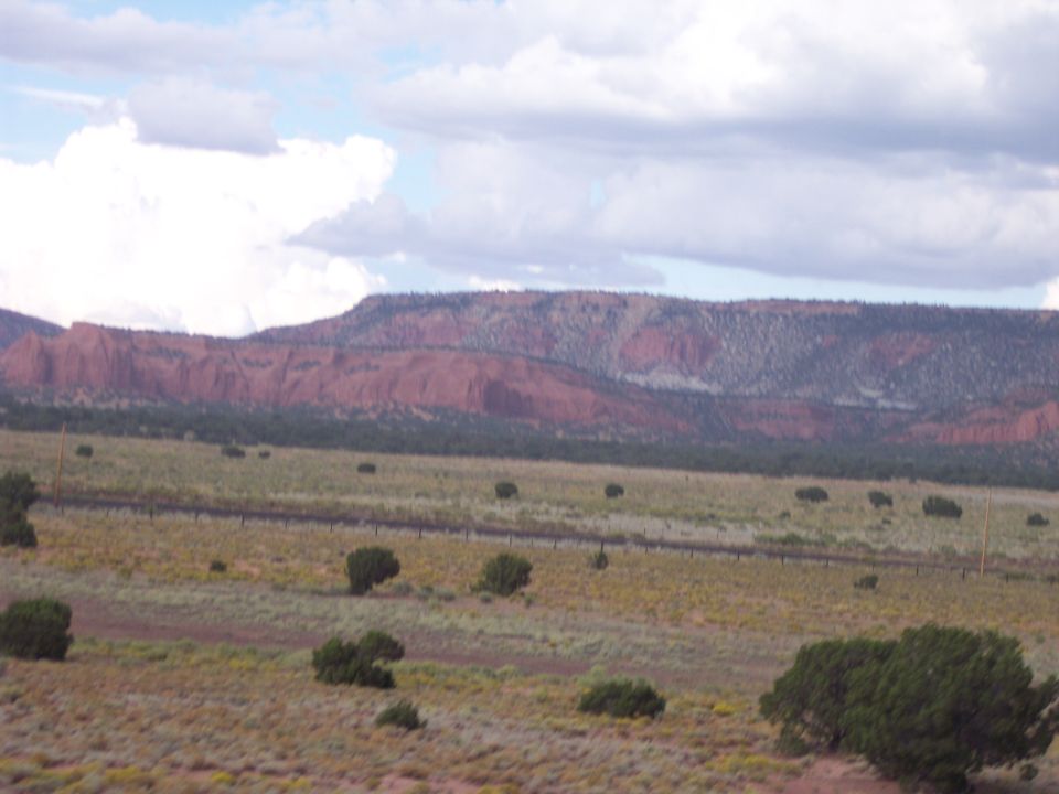 Desert landscape with red rock formations and scattered green bushes under a cloudy sky