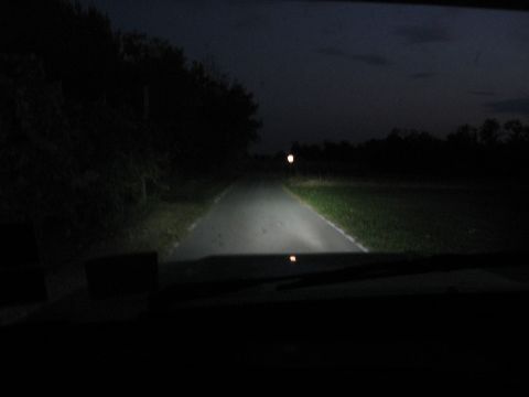 1990 Ford F-150 - Driving down a dark road at night with headlights on, showing the path ahead.