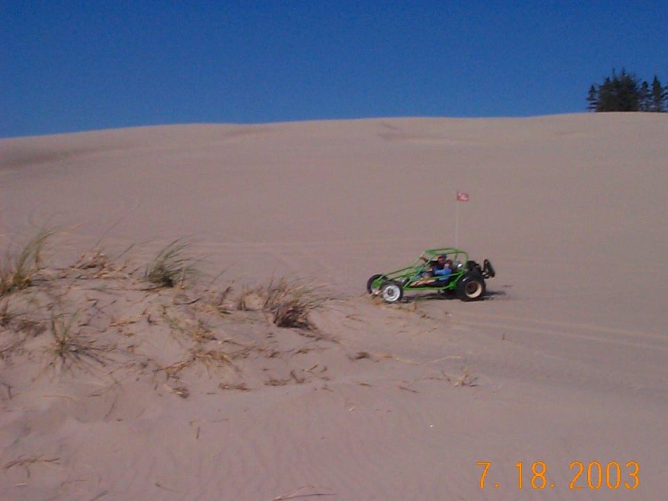 Kassie driving Chris's buggy
