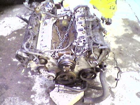 1998 Ford Crown Victoria - Engine assembly with various hoses and pulleys, suspended by chains.