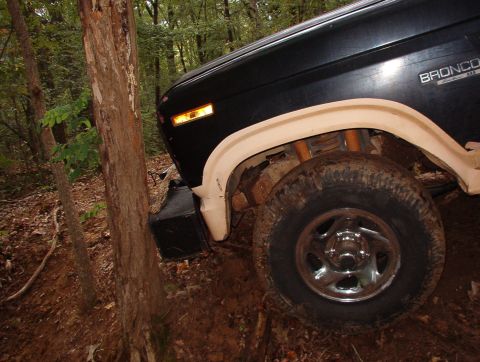 1983 Ford Bronco - It's uprooted now, but I didn't want to get hung up going over it, so we'll pull/cut it out later.