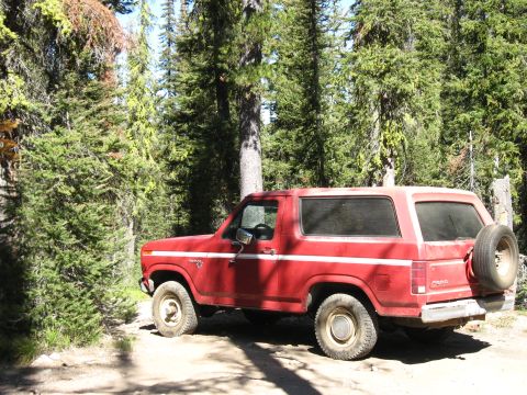 1981 Ford Bronco - A red Ford Bronco is parked on a dirt path surrounded by tall pine trees.