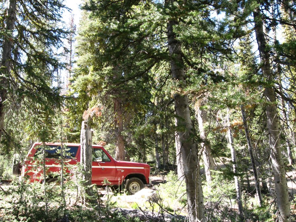 Red 1981 Ford Bronco side view in forest