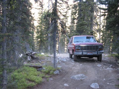 1981 Ford Bronco - A red SUV navigates a dusty, wooded trail with tall pine trees lining the path.