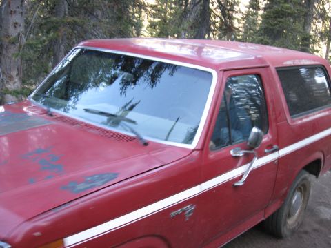 1981 Ford Bronco - A red Ford Bronco with a white stripe is parked outdoors, its hood paint showing signs of wear.