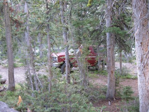 1981 Ford Bronco - A red 1981 Ford Bronco is partially hidden among trees in a wooded area.