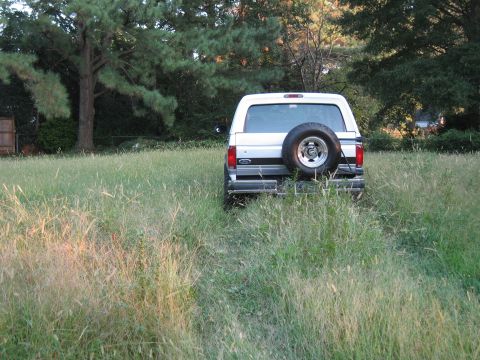 1994 Ford Bronco - Rear view of a white Ford Bronco with a spare tire mounted on the back, situated in an overgrown grassy area.