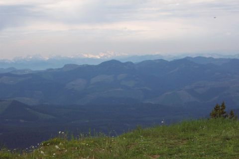 1996 Ford Bronco - Terrain around Mount Rainier. (View from Ravens Roost)(7/13/2002)