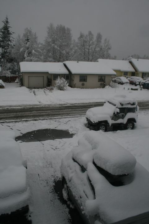 2003 Jeep TJ - Snowfall covers multiple vehicles, including a Jeep TJ, in a residential area.