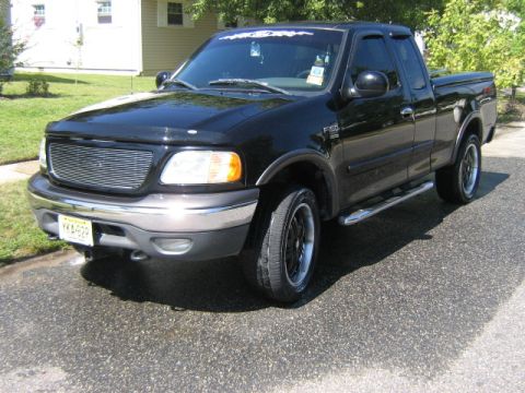 2002 Ford F-150 photo
