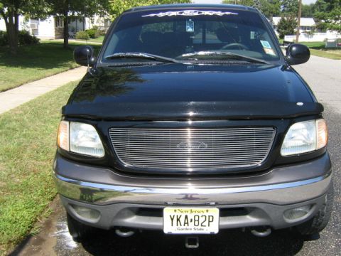 2002 Ford F-150 photo