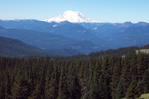 1996 Ford Bronco - Mount Rainier from top of the hill climb to Funny Rocks/Moon Rocks. (7/14/2002)