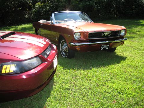 1966 Ford Mustang photo