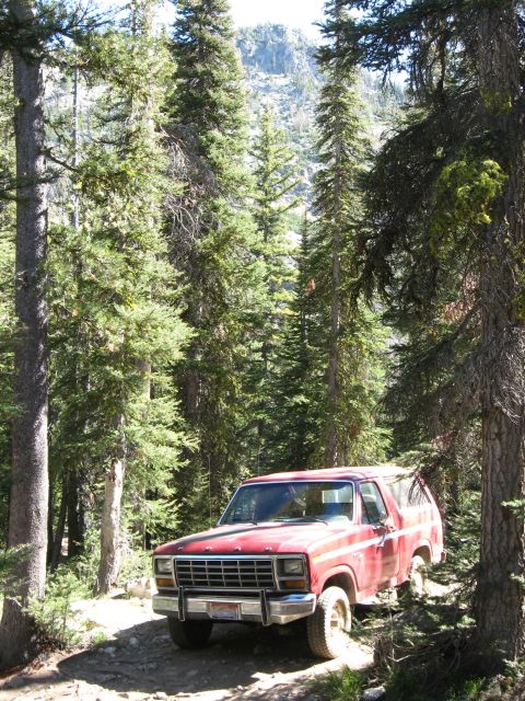 1981 Ford Bronco - A view of the Bronco in the trees.