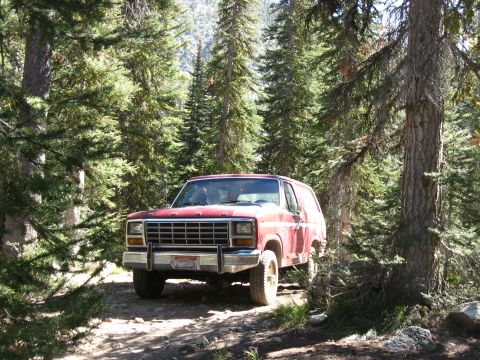 1981 Ford Bronco - A red Ford Bronco is parked on a dirt road in a forest with tall pine trees.