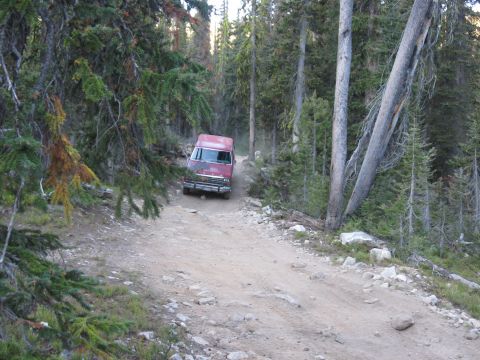 1981 Ford Bronco - A red van navigates a rough dirt road through a dense forest.