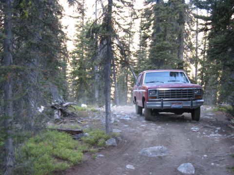 1981 Ford Bronco - A red 1981 Ford Bronco navigates a dirt path through a dense forest.
