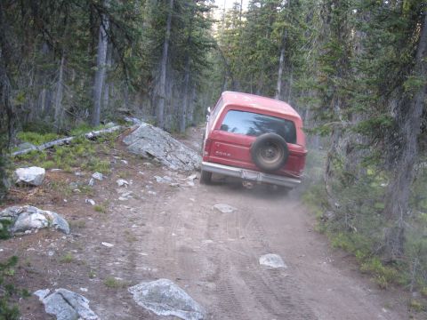 1981 Ford Bronco - A red 1981 Ford Bronco navigates a rough dirt path in a wooded area.