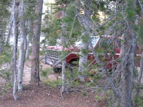 1981 Ford Bronco - A red Ford truck is partially obscured by trees in a wooded area.