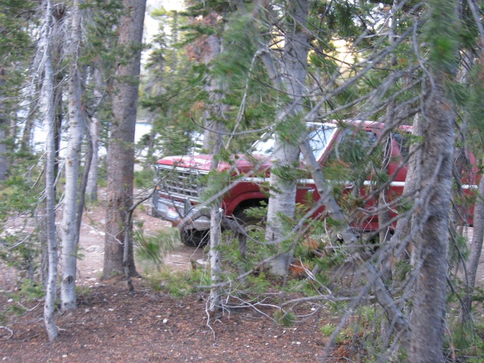 Red Ford truck with chrome grille parked among trees