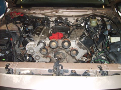 1993 Ford Crown Victoria - The engine bay of a vehicle is shown with the V8 engine exposed and components visible.