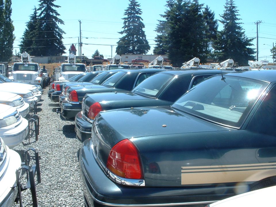 A total of 5 '98 CVs were auctioned off that are ex P.C.S. cars.