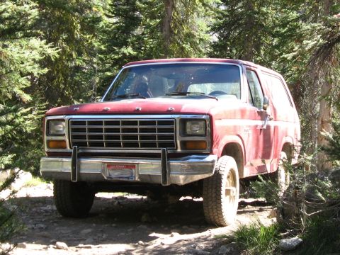 1981 Ford Bronco - This 1981 Ford Bronco is parked on a dirt path amidst a forest.