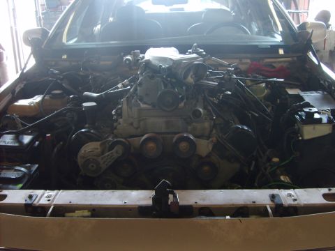 1993 Ford Crown Victoria - The engine bay of a car is shown with the V8 engine and various components exposed.
