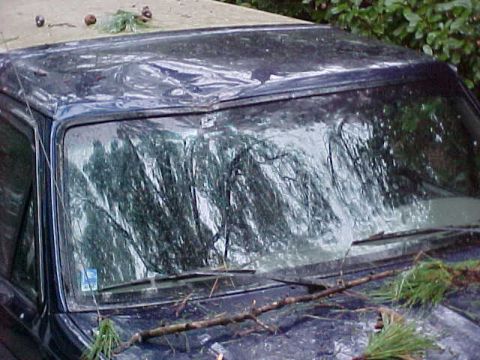 1995 Ford Bronco - A dark blue Ford Bronco is covered by a tarp and debris, suggesting damage from a storm.