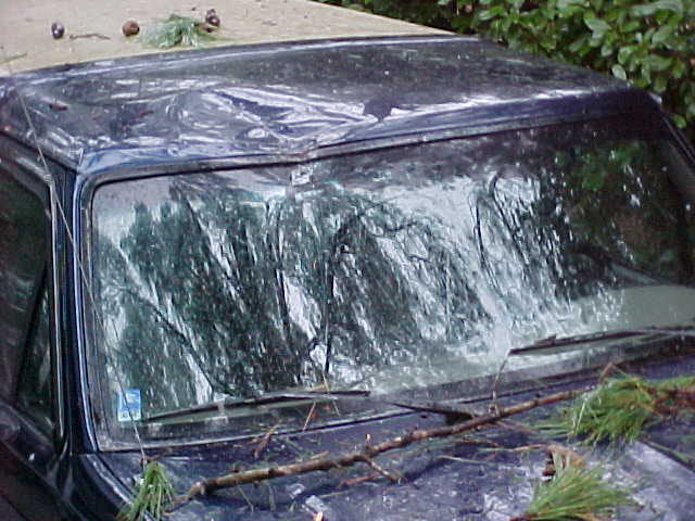 Dark green SUV windshield and roof sheeted in ice with fallen pine branches on the hood